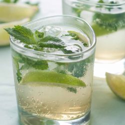 Learn About Gin & Tonic: A Taste of India, August 2